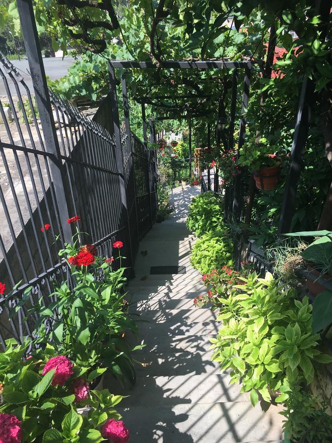 Sara Guesthouse Берат Экстерьер фото